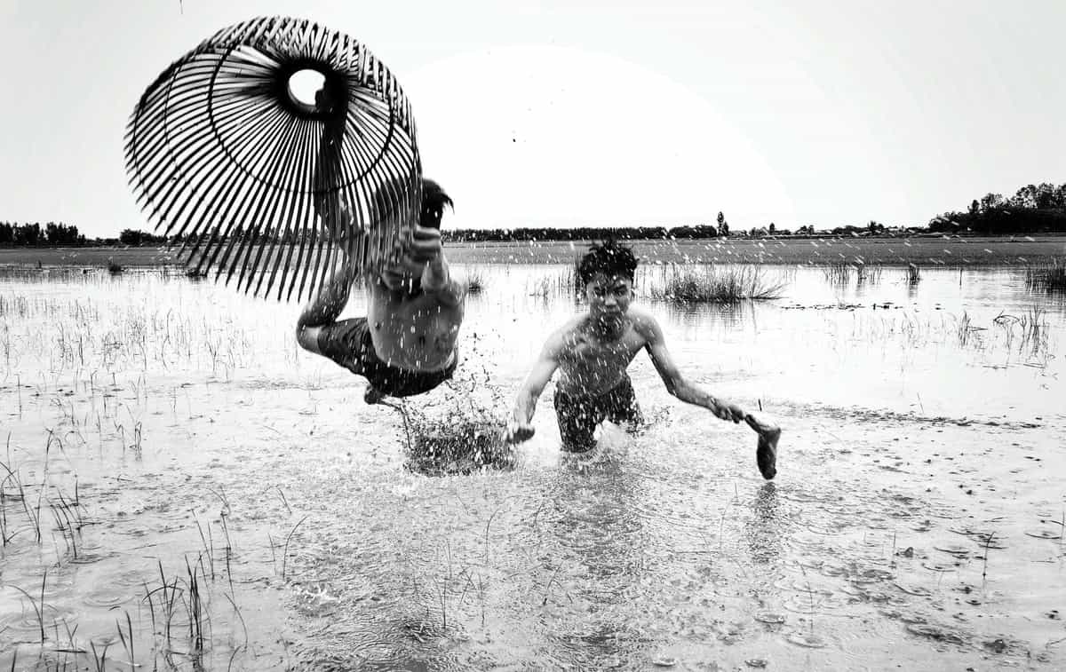 Net Fish in Water Fields
