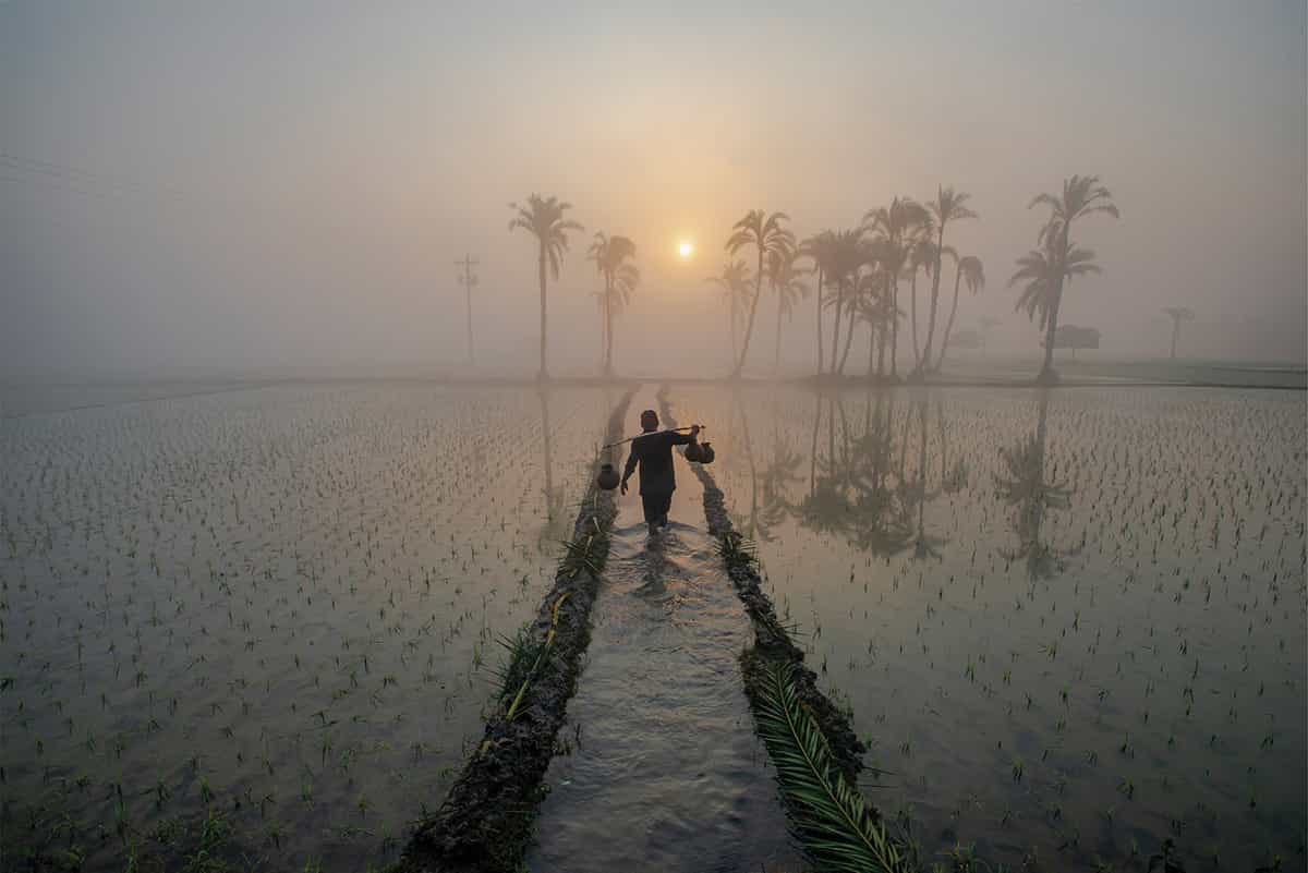 Tiêu đề ảnh: Carrying Date Juice