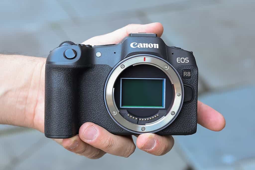 Những hé lộ về Canon EOS R8 V