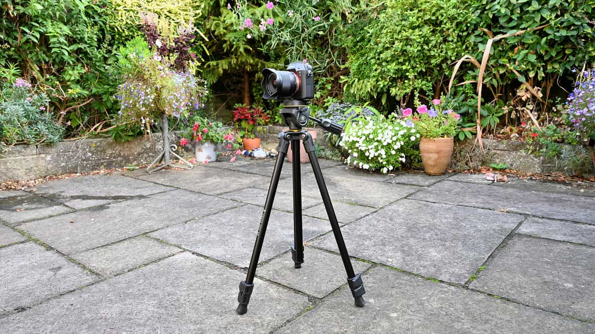 Vanguard Vesta 203AP